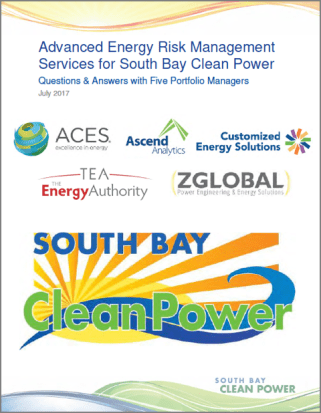 Q&amp;A PORTFOLIO MANAGER COER